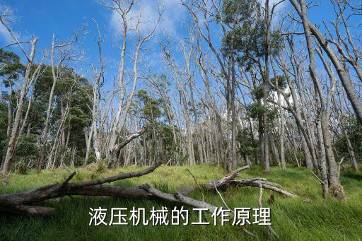 液壓機(jī)械臂的工作原理圖，液壓起重機(jī)原理...